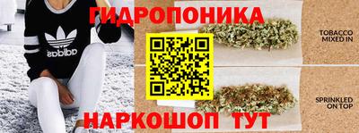 бошки Обь