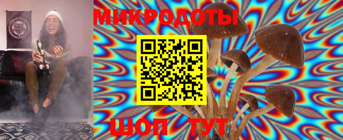 Галлюциногенные грибы GOLDEN TEACHER Урай