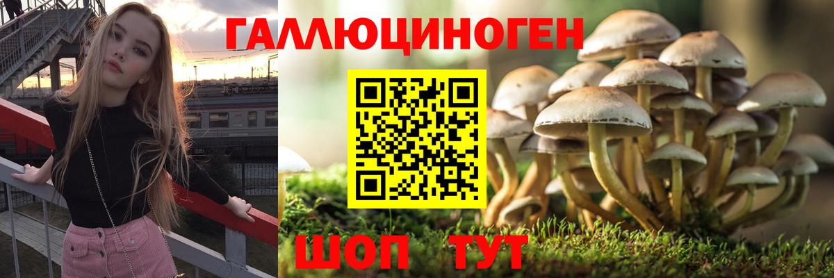 Псилоцибиновые грибы Psilocybe  Галлюциногенные грибы Magic Shrooms  Вход с VPN  Урай 